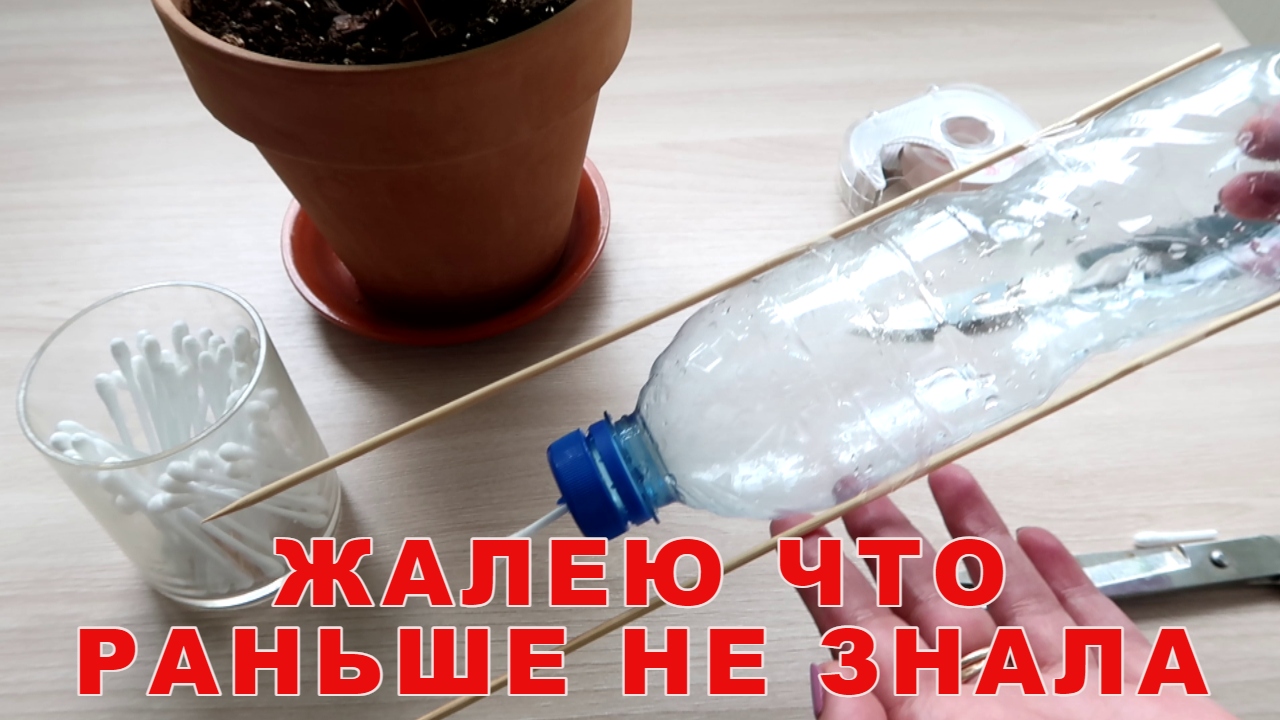 Жалею, что раньше не знала про этот способ автополива КОМНАТНЫХ РАСТЕНИЙ