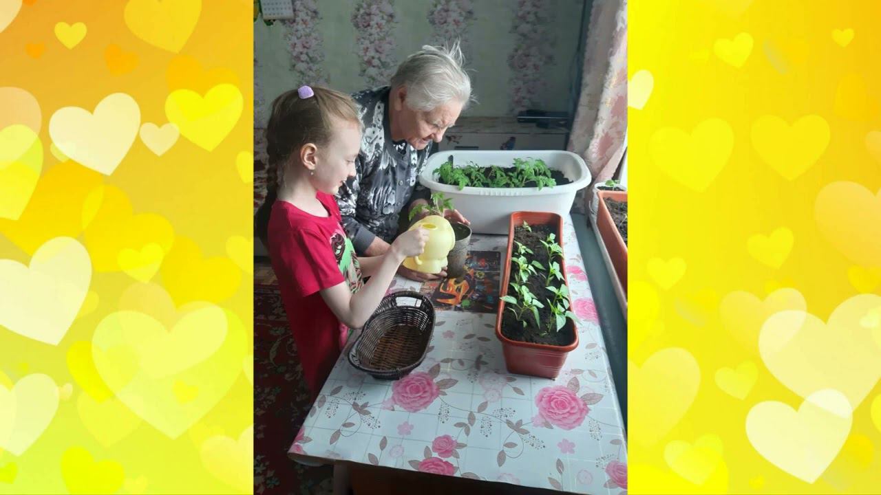 День Добрых Дел 2023