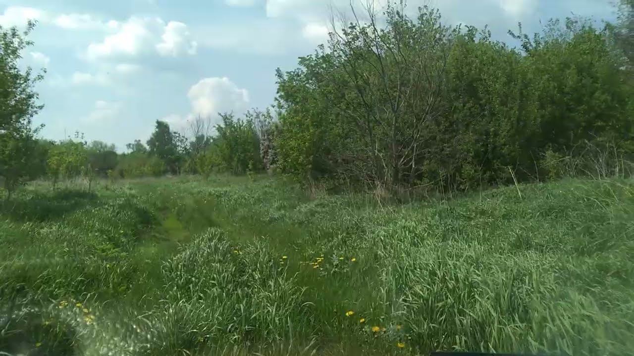 Опустевшая деревня Елизаветинка, Ртищевский район.