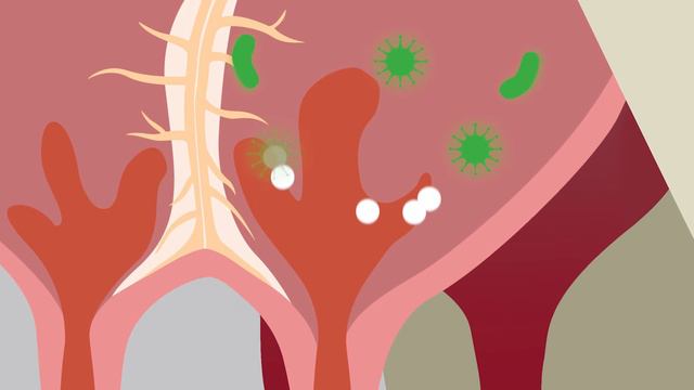 ЭНРОФЛОН ГЕЛЬ - противомаститный шприц