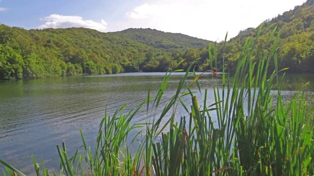 "СЕНТЯБРЬСКИЙ ЭМБИЕНТ ИЗ КРЫМА"... (Фото Полины Морозовой (Симферополь), музыка - ATB)