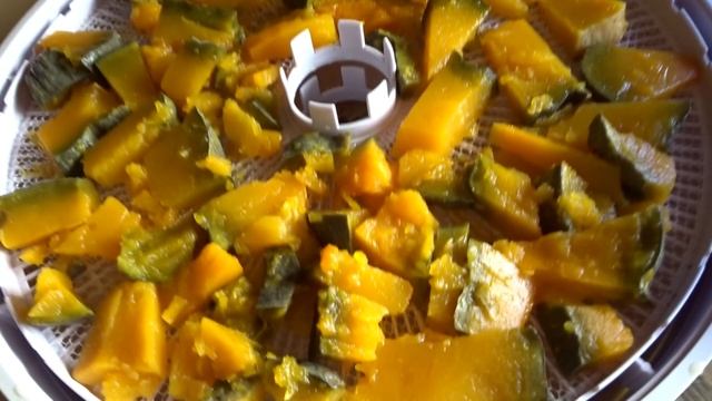 ГОТОВИМ СЛАДКИЕ ЦУКАТЫ ИЗ ТЫКВЫ