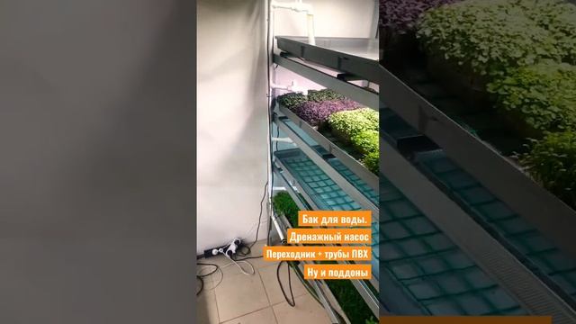 Показываю из чего состоит мой стеллаж для выращивания Микрозелени, беби зелени и пряных трав