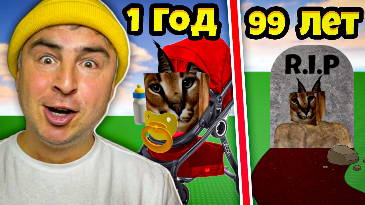 РОБЛОКС Raise a Floppa | Мистер Гэг и кот ШЛЁПА |Летсплей # 1