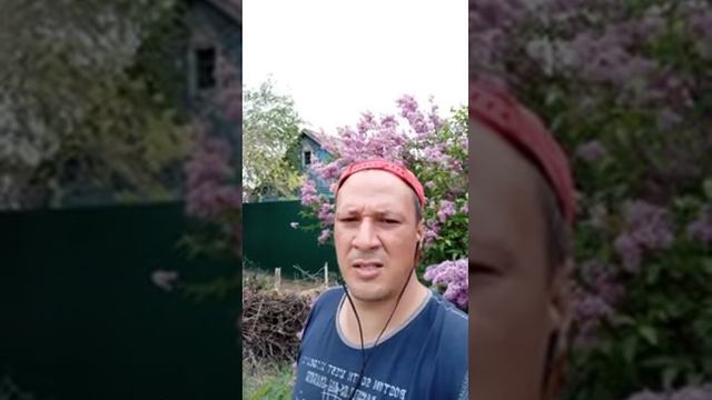 2.010.СВОЕОБРАЗИЕ, НЕАДЕКВ,И,БЕЗРАС,БЕЗ,МАНЕРPROPHET. SHCHERBAKOV. ЩЕРБАКОВ АРТЁМ. СОЦСЕТЬ LIKEE