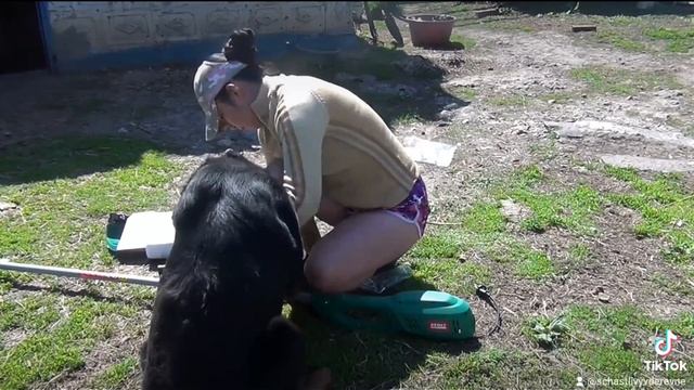 КОНТРОЛЬ КАЧЕСТВА! Сборка косы с другом