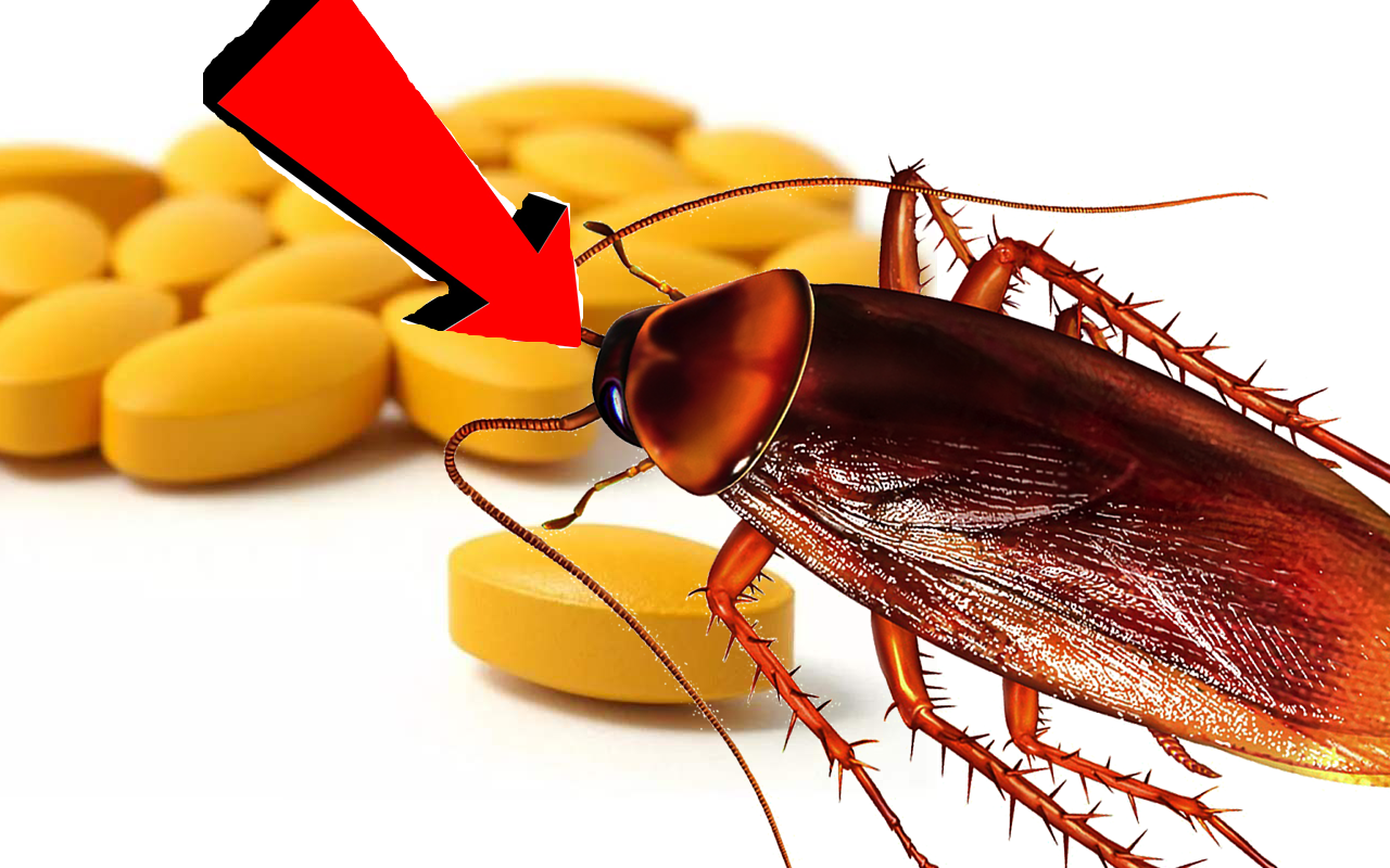Как Быстро избавиться от тараканов За 3 Секунды.!.!.!..