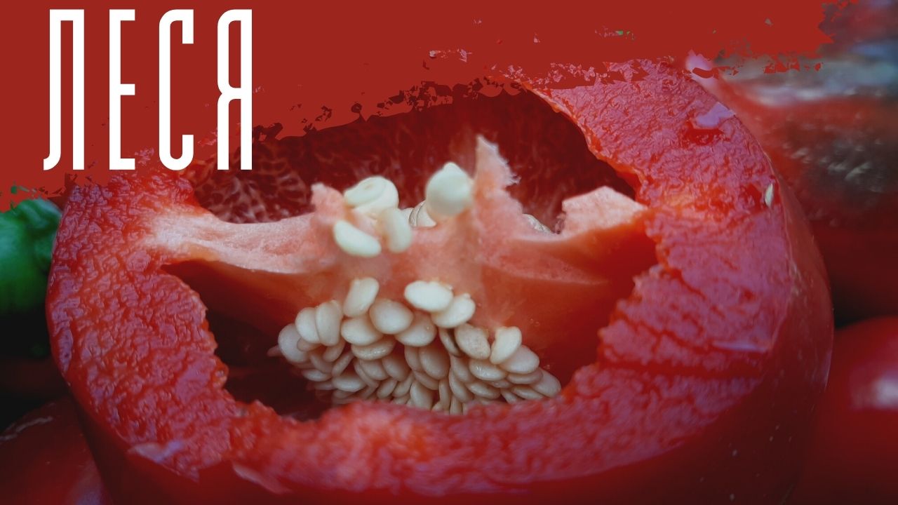 Сладкий перец Леся.