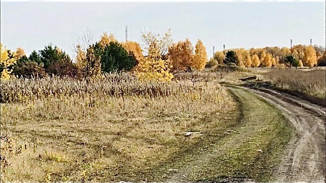 Осень за околицей. Прогуляемся! « Осенние зарисовки»