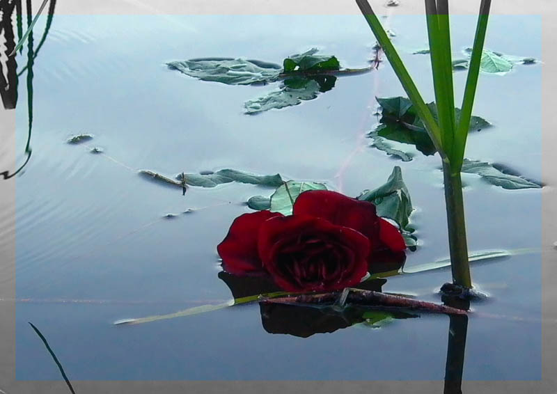 ЗАЧЕМ НЕ ВЕРИШЬ