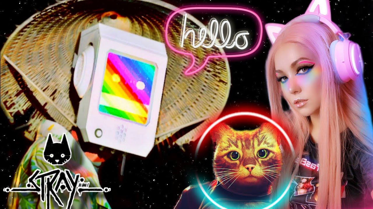 Супер МОМО➲ Stray (5ч.)