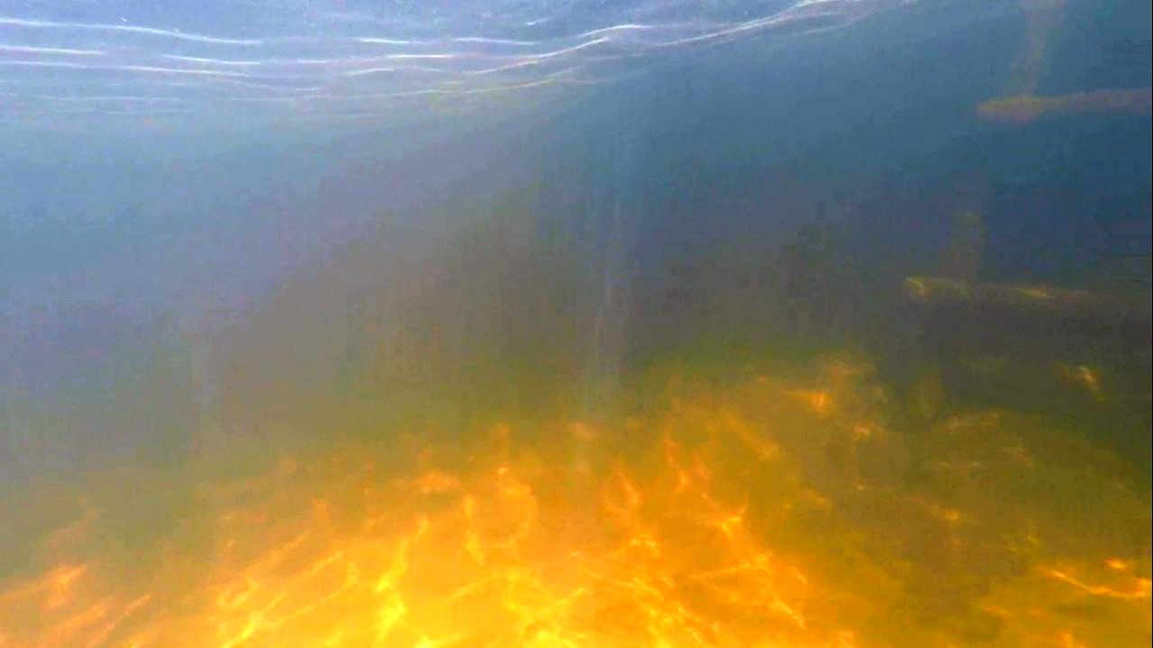 ОЗЕРО ЧЕРНЕНЬКОЕ ПОД ВОДОЙ 2022.06.02