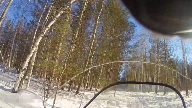 ЗМУ Полевые работы.