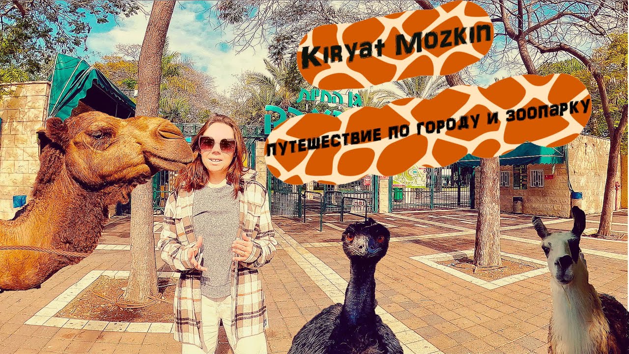 Семейные выходные в Kiryat Mozkin путешествие по городу и зоопарку
