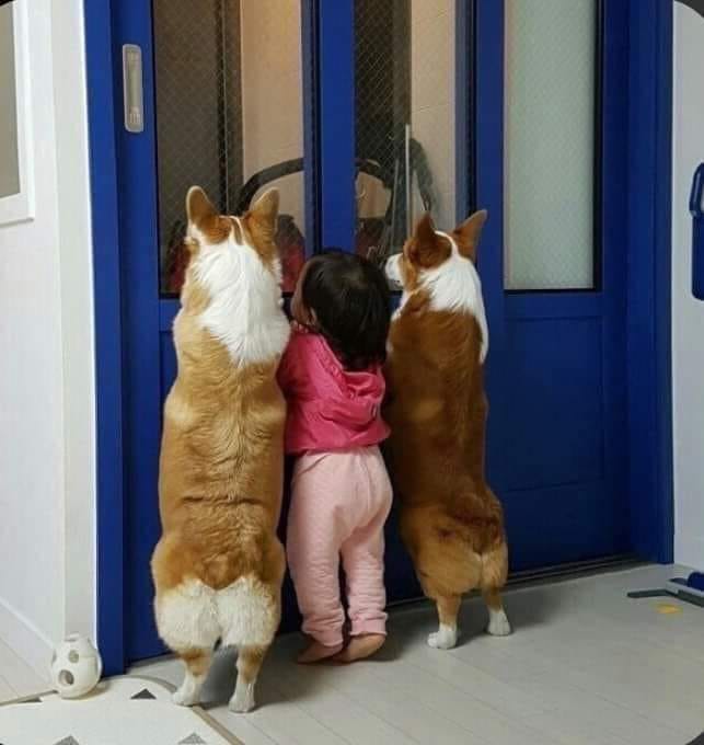 ПРИКОЛЫ С ДЕТЬМИ И ЖИВОТНЫМИ ЛУЧШАЯ ПОДБОРКА 2021