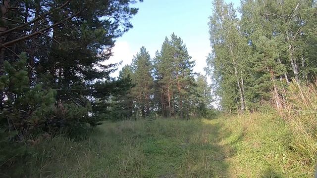 мото выезд 26,08,2019 катаем по лесу