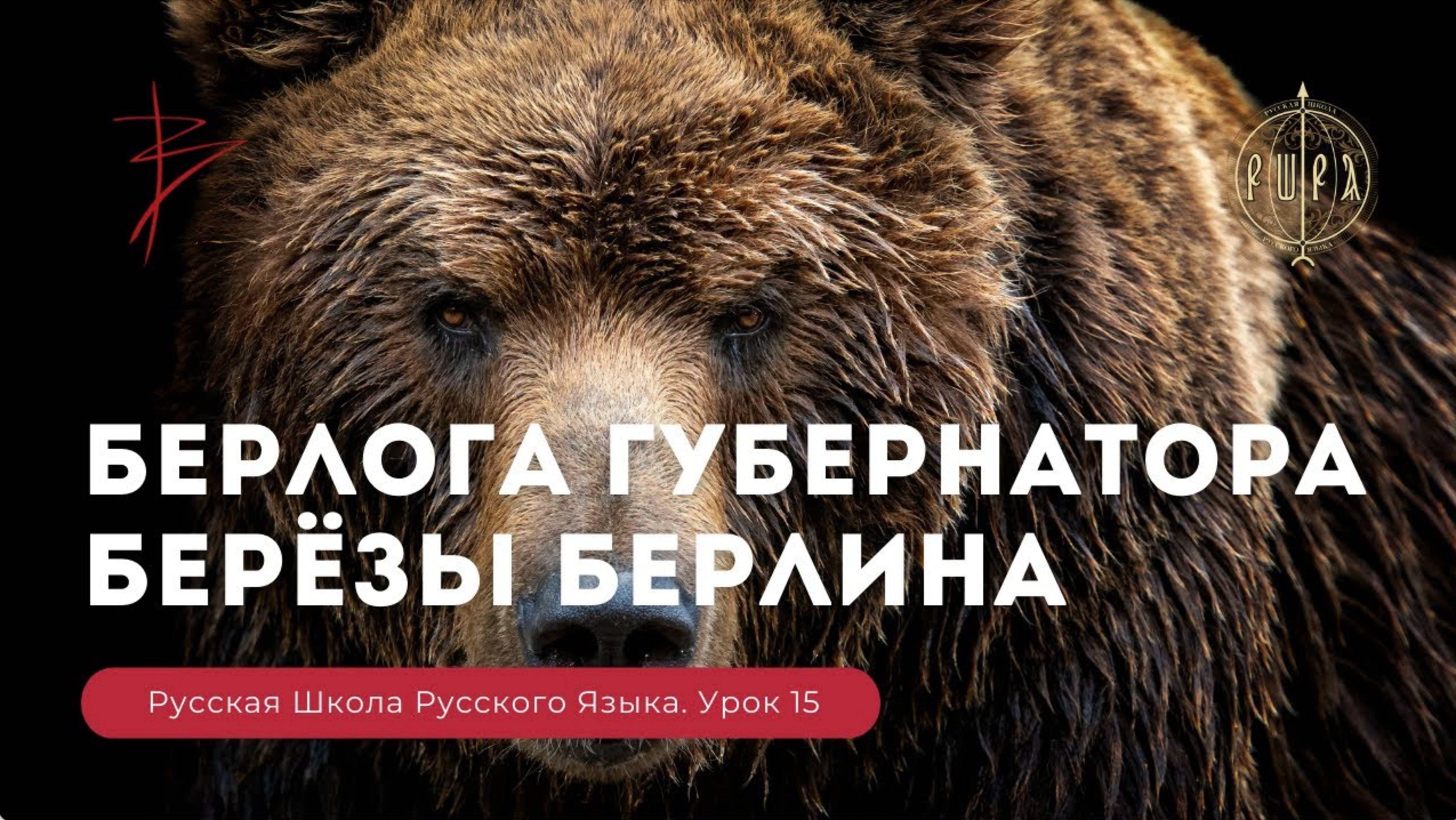 Урок 15. БЕРлога гуБЕРнатора. БЕРёзы БЕРлина - Русская Школа Русского Языка. Виталий Сундаков