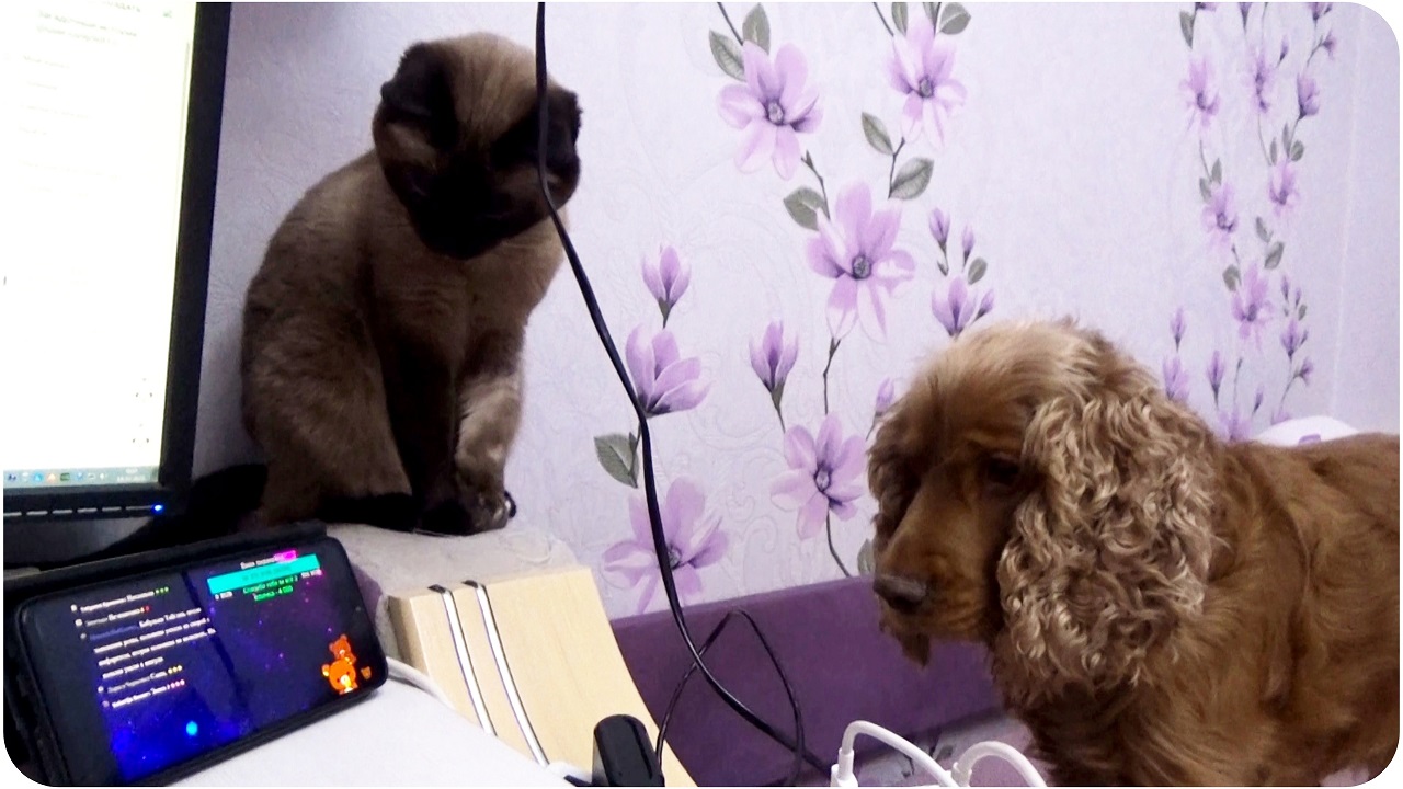 Ричард. Охота на медведя))