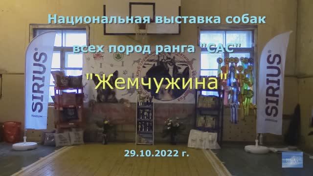 Национальная выставка собак "Жемчужина" (29.10.2022 г.).