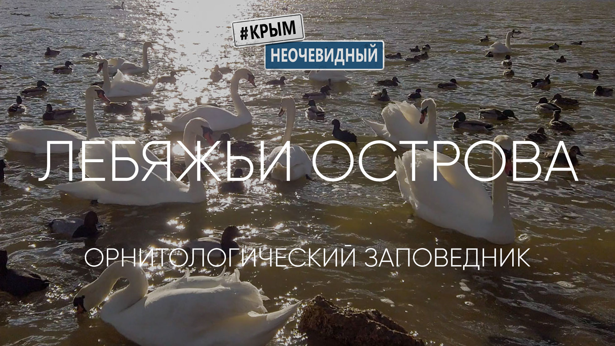 #КрымНеОчевидный:  Лебяжьи острова - государственный природный заповедник (село Портовое)
