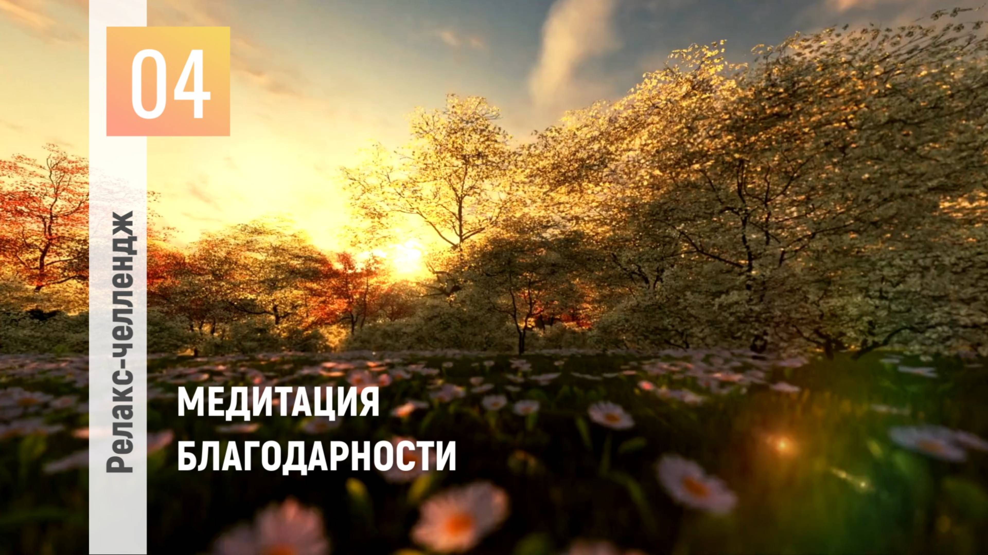 День 4: Отпуск для души. Перезагрузка. Медитация Благодарности