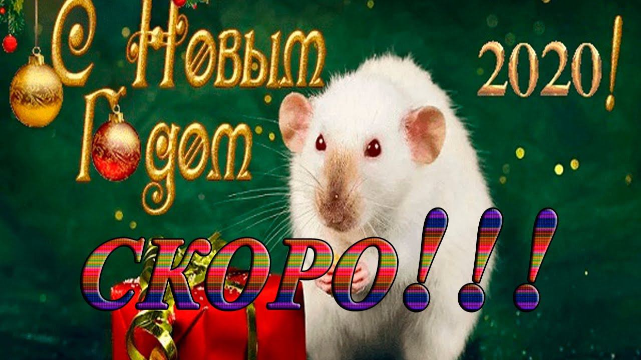 А ВЕДЬ СКОРО НОВЫЙ ГОД  *