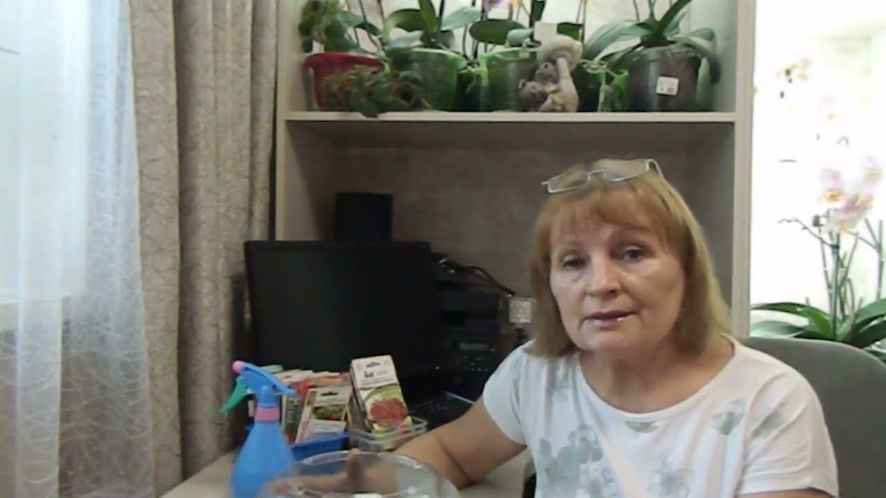 Посев семян томатов на рассаду для раннего урожая