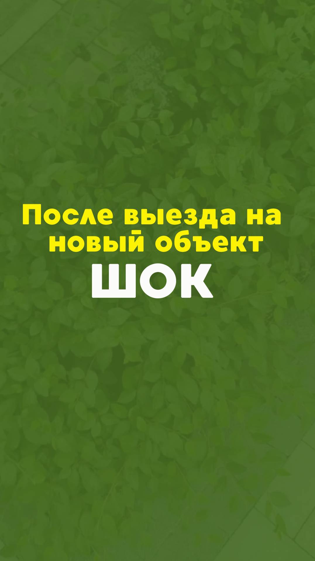НЕ ДЕЛАЙТЕ ТАК! Или "чудо-монтаж" системы полива