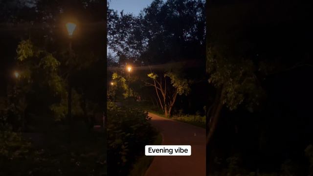 Evening vibe