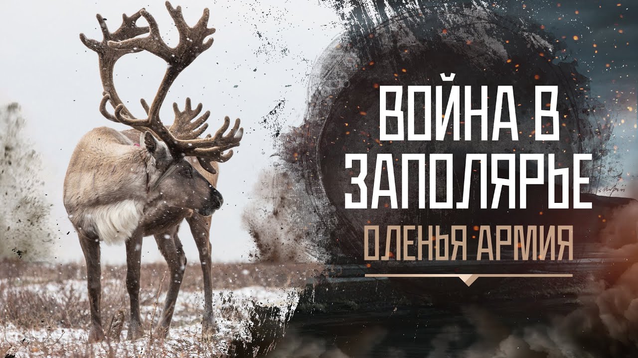 Война в Заполярье|Серия 1. Оленья армия