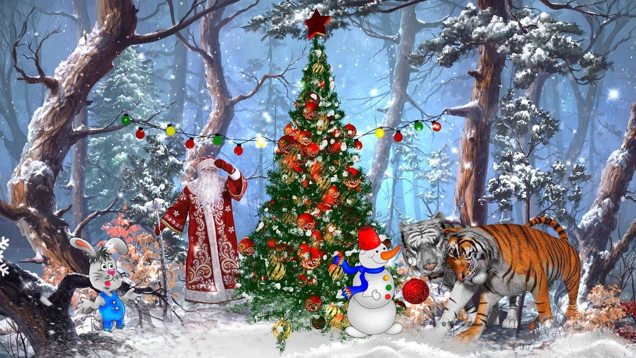 Новогоднее поздравление: С Новым 2022 годом Тигра!