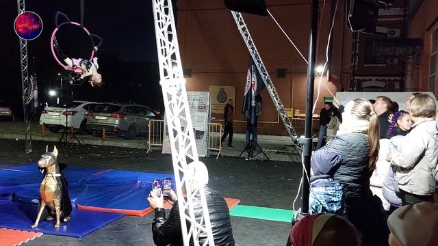 Выступление воздушных гимнастов.