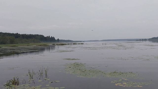 "Я не прощаюсь" Авторская песня, слова, музыка, исполнение Валентины Рих.