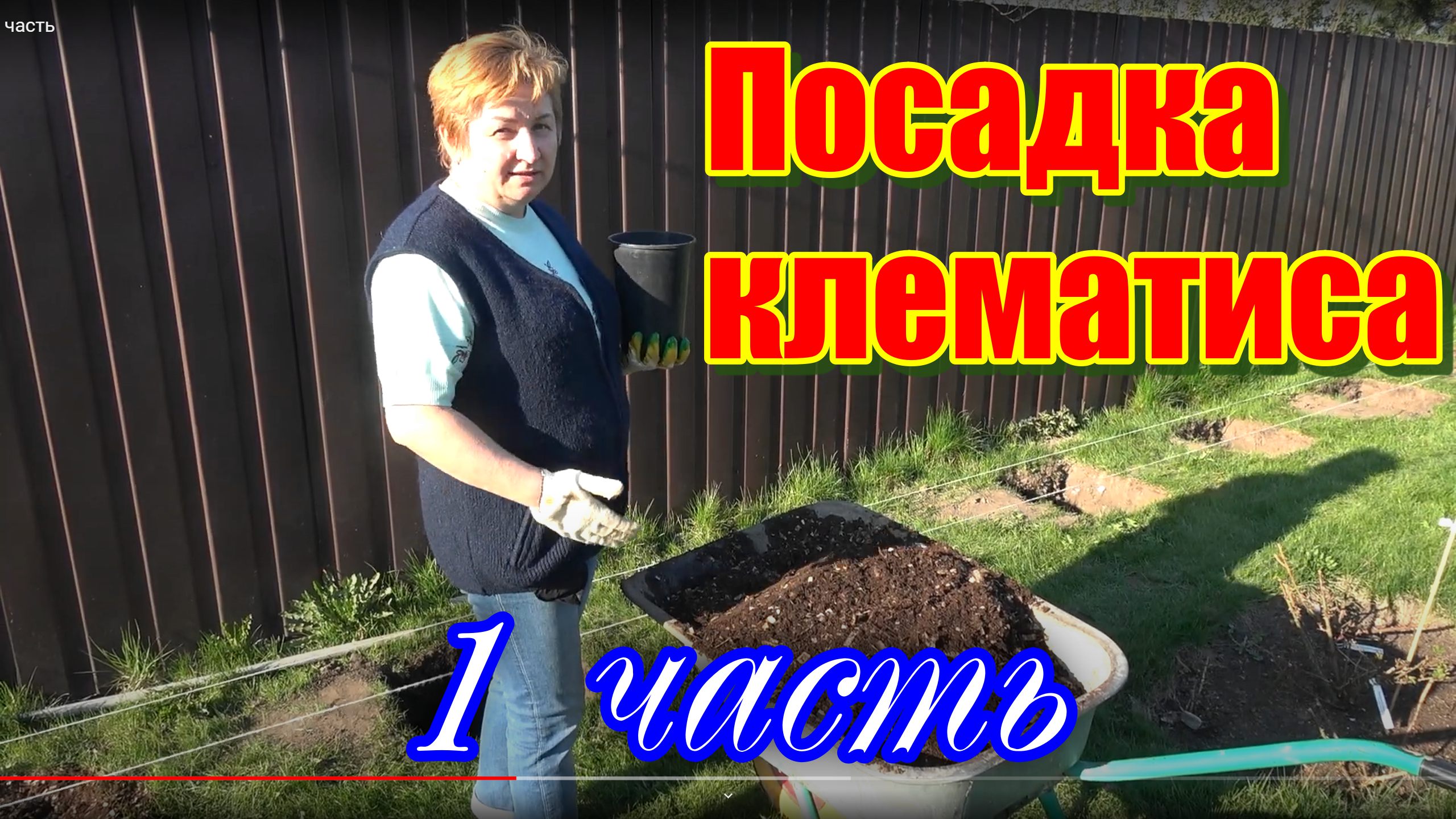 Создание клематисария 1 часть