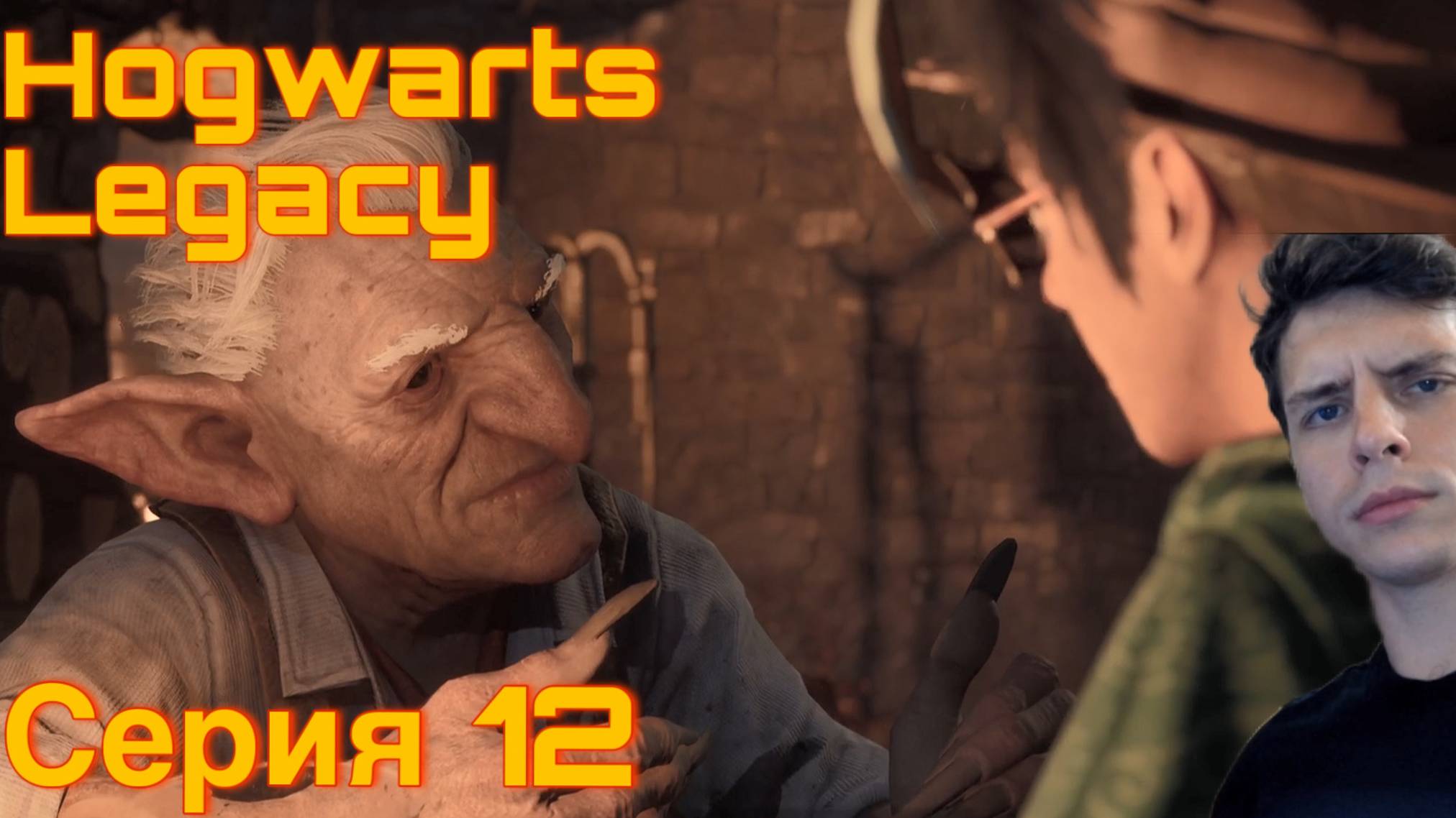 СОТРУДНИЧАЕМ С ГОБЛИНАМИ. Hogwarts Legacy. Серия 12