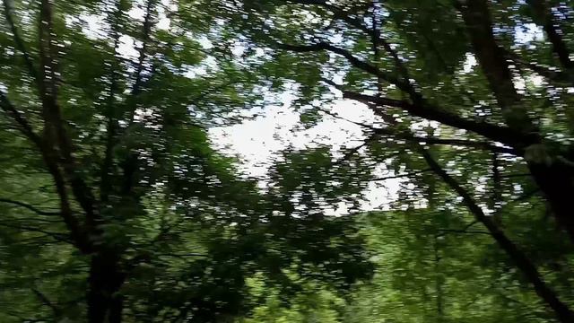 2024 стрешнево химкинское водохранилище июнь.movie