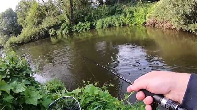 Тестирование CF Arion ARSE762LS.  Воблеры, топвотеры, колебалки.mp4