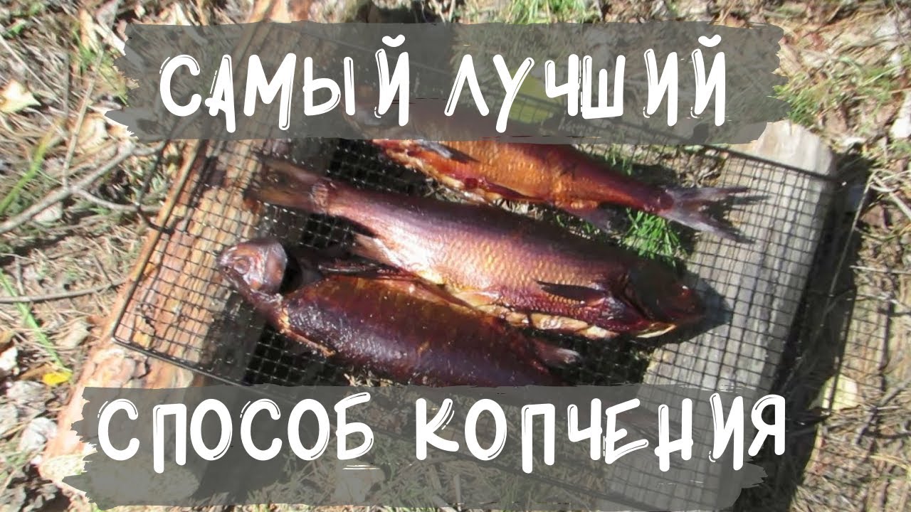 Рыба горячего копчения в яме в походных условиях