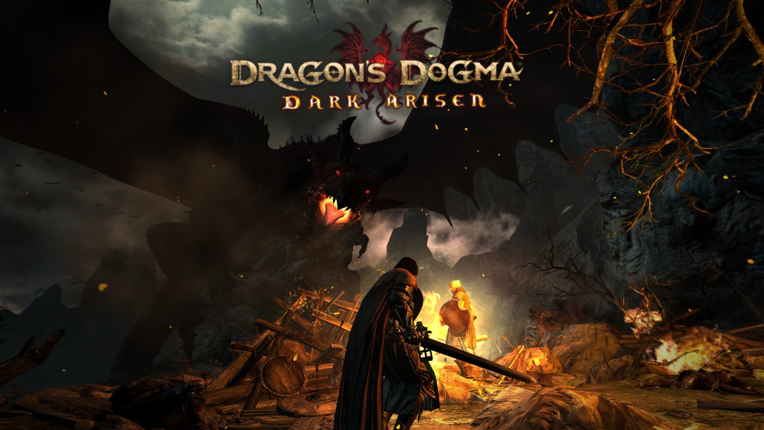 Dragon's Dogma: Dark Arisen #2