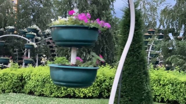 Приехали в Чечню. Грозный. Парк цветов.