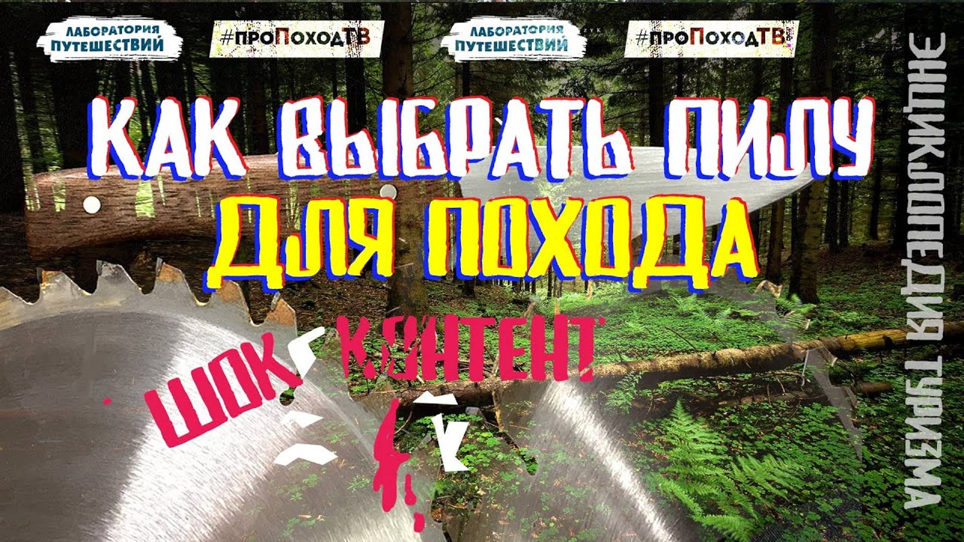 КАК ВЫБРАТЬ ПИЛУ ДЛЯ ПОХОДА?