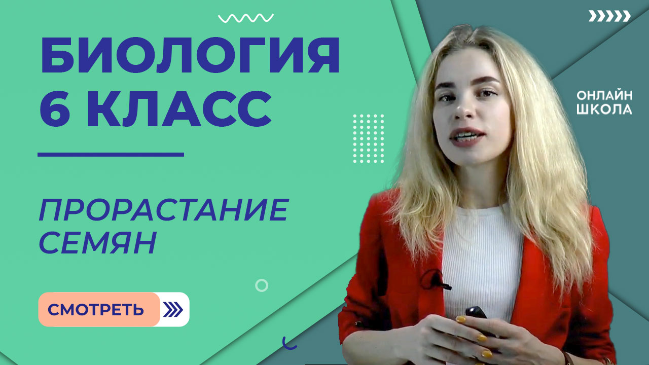 Прорастание семян. Урок 20. Биология 6 класс