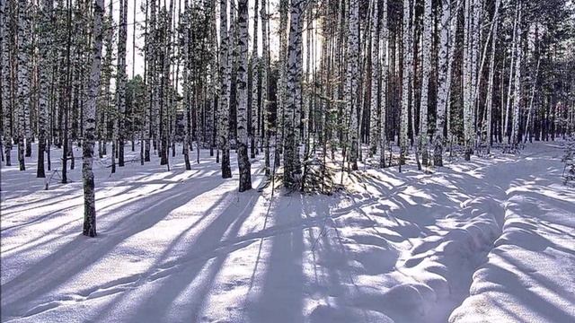 "БЛАГОСЛОВЕН ЕСИ, ГОСПОДИ!" (Фото Ю.Морозова и И. Баранова (Рязань) - Русский Хор А. Свешникова)