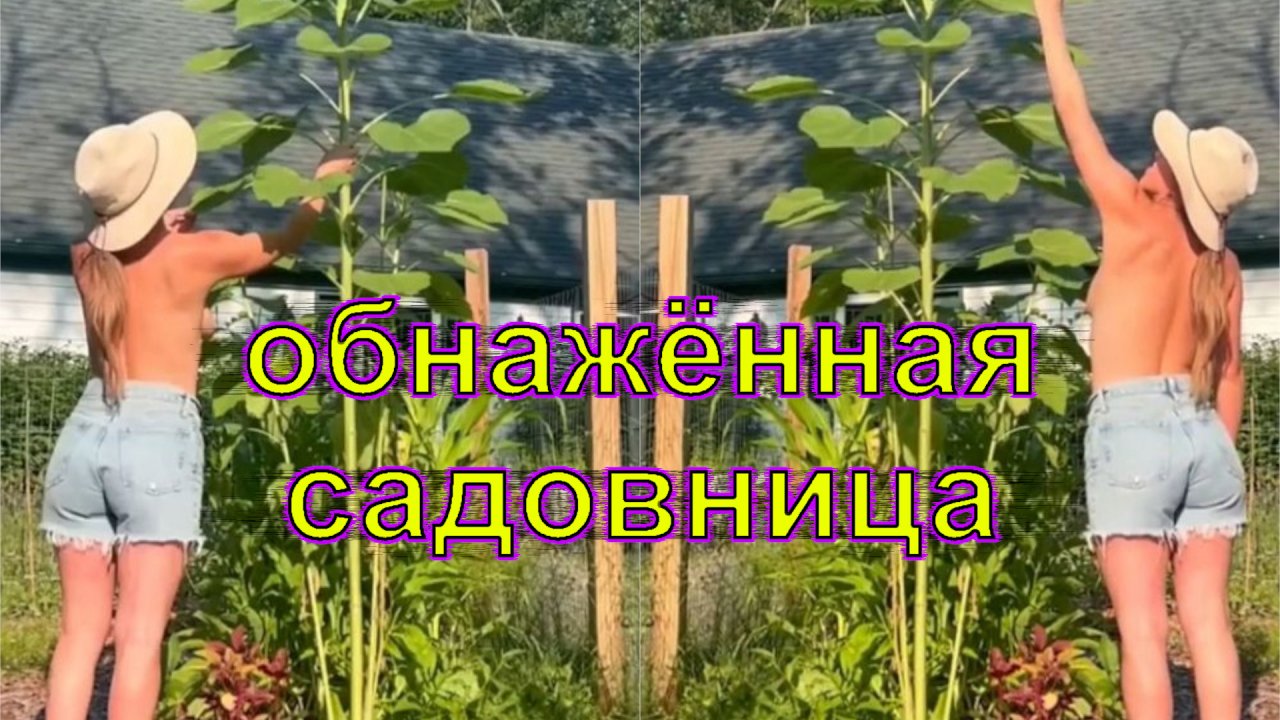 Обнажённая садовница ходит без лифчика, ведь это помогает растениям лучше расти.