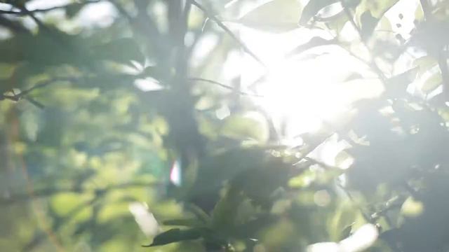 ДИТЯ БЕЗ ПОЛЬЗЫ ХИТРОЙ