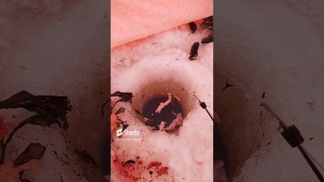 Ловим ротана