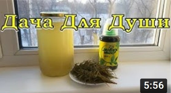 Как сделать УДОБРЕНИЕ из новогодней ЕЛКИ????