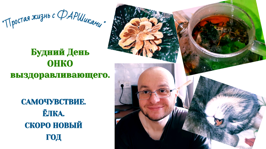 РАК МОЗГА. АФАЗИЯ. День ОНКО выздоравливающего. САМОЧУВСТВИЕ. ЁЛКА. СКОРО НОВЫЙ ГОД