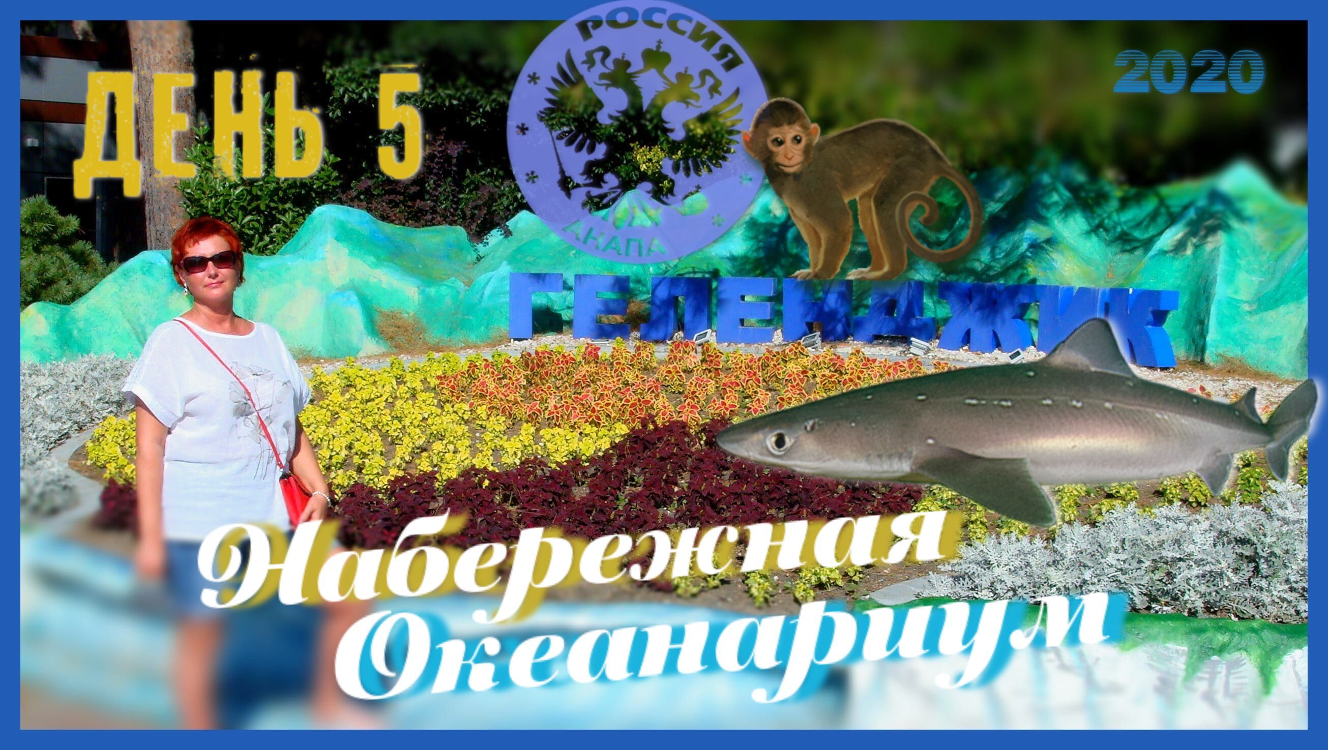 РФ, Анапа. 9 серия_ Геленджик 05.08.2020 / Отдых на Чёрном море.