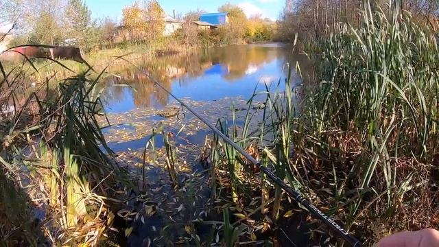 Три прудика, ротан на силикон.mp4